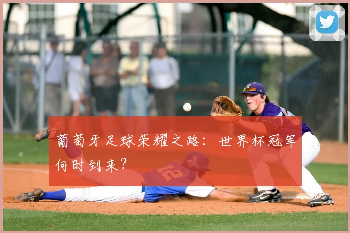 葡萄牙足球荣耀之路：世界杯冠军何时到来？