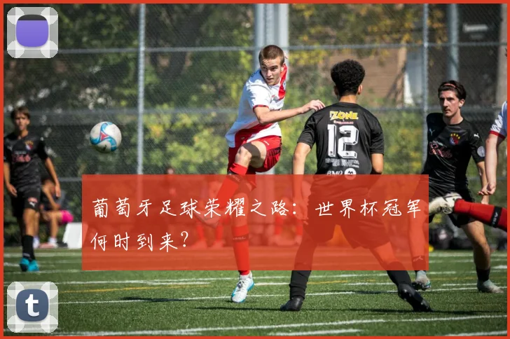 葡萄牙足球荣耀之路：世界杯冠军何时到来？